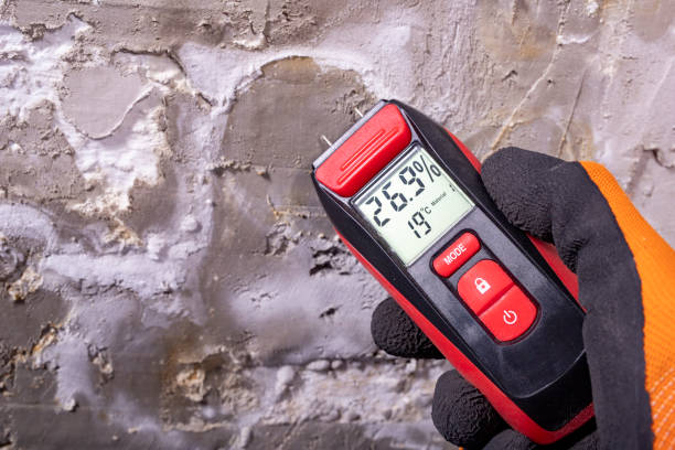 Best Mold Testing  in East Grand Rapids, MI