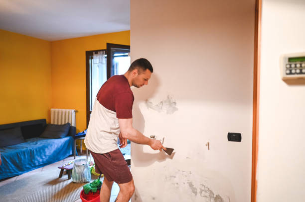 Best Office Mold Removal Services  in East Grand Rapids, MI